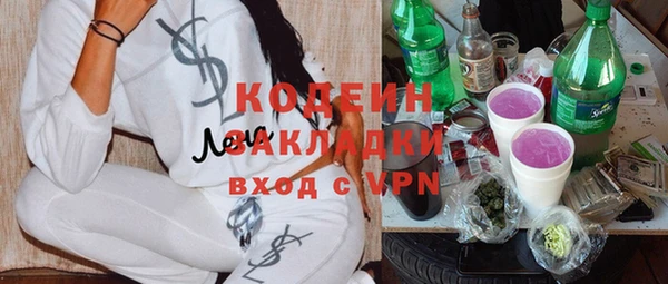 шишки Бородино