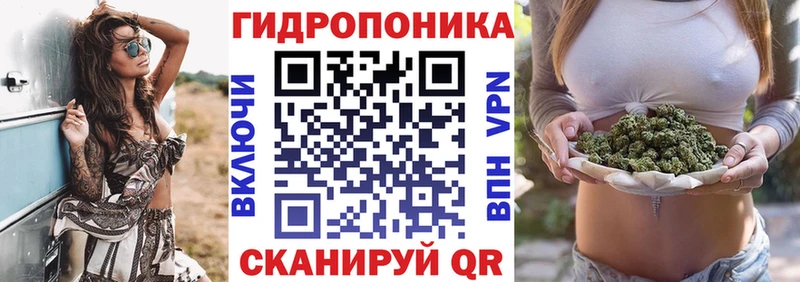 Бошки Шишки Amnesia Знаменск